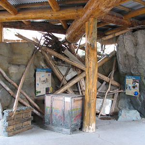 Russia's Grizzly Coast - Pacific Shores - Sea Otter Exhibit Viewing Shelter