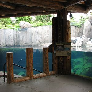 Russia's Grizzly Coast - Pacific Shores - Sea Otter Exhibit Second Viewing