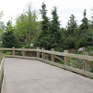 Russia's Grizzly Coast - Subarctic North - Steam Vent Walkway