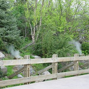 Russia's Grizzly Coast - Subarctic North - Steam Vent Walkway