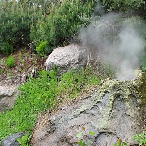 Russia's Grizzly Coast - Subarctic North - Steam Vent