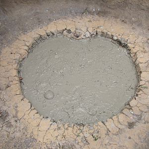 Russia's Grizzly Coast - Subarctic North - Mudpot