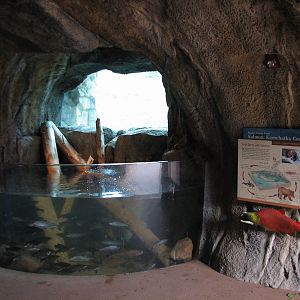 Russia's Grizzly Coast - Subarctic North - Salmon Exhibit