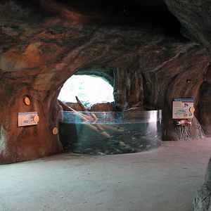 Russia's Grizzly Coast - Subarctic North - Salmon Exhibit