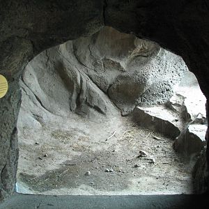 Russia's Grizzly Coast - Subarctic North - Grizzly Bear Exhibit Den View