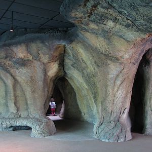 Russia's Grizzly Coast - Subarctic North - Lava Tube PLay Cave