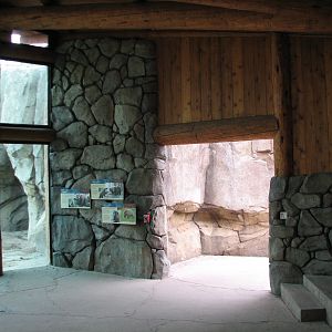 Russia's Grizzly Coast - Subarctic North - Grizzly Bear Exhibit Second View