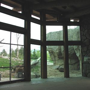 Russia's Grizzly Coast - Subarctic North - Grizzly Bear Exhibit Second View