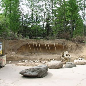 Russia's Grizzly Coast - Subarctic North - Mammoth Fossil Play Area