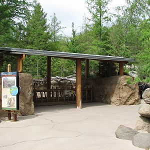 Russia's Grizzly Coast - Forested South - Wild Boar Exhibit First Viewing S