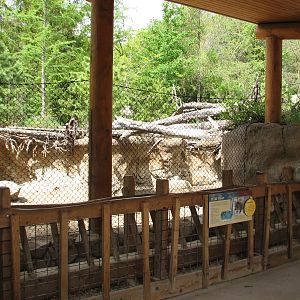 Russia's Grizzly Coast - Forested South - Wild Boar Exhibit First Viewing S