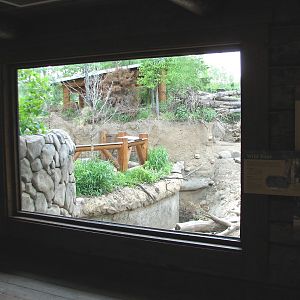 Russia's Grizzly Coast - Forested South - Conservation Science Cabin View o