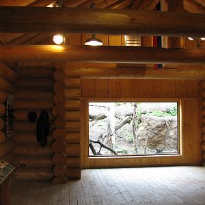 Russia's Grizzly Coast - Forested South - Conservation Science Cabin Interi
