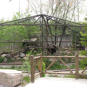 Discoveryland - Woodland Edge