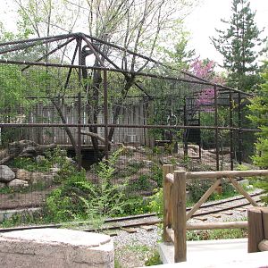 Discoveryland - Woodland Edge