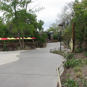 Elephant Encounter - path
