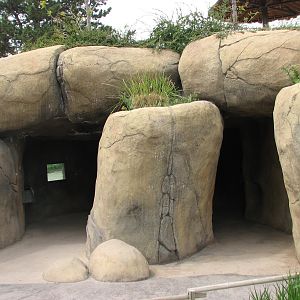 Elephant Encounter - Kopje Viewing Area