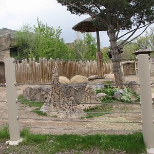 Elephant Encounter - Rhino Yard