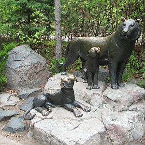 Northern Trail - Tiger Lair Sculptures