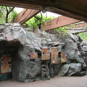 Northern Trail - Tiger Lair Display Area