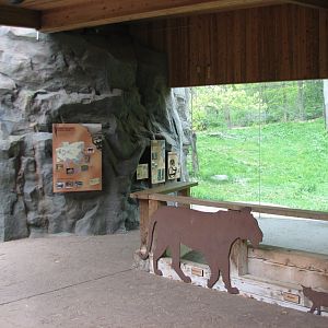 Northern Trail - Tiger Lair Shelter Viewing Area
