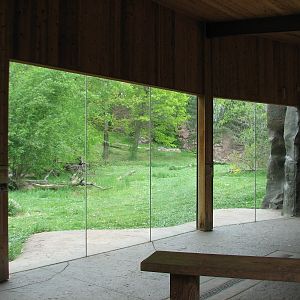 Northern Trail - Tiger Lair Shelter Viewing Area