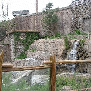 Asian Highlands - Snow Leopard