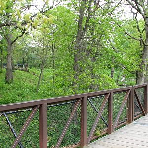Northern Trail - Tiger Base Camp - Viewing Boardwalk