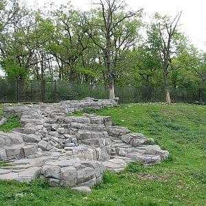 Northern Trail - Takin Exhibit