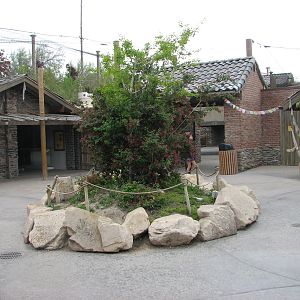 Asian Highlands - Visitor Amenities