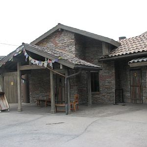 Asian Highlands - Amur Leopard Viewing