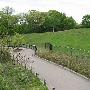 Northern Trail - Bactrian Camel Exhibit