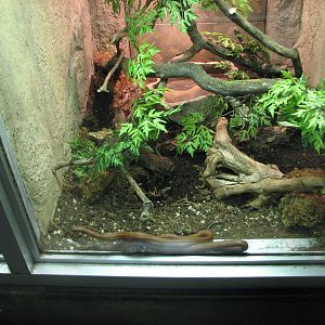 Small Animal Building