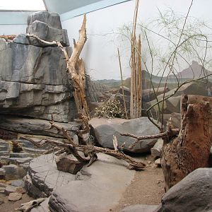 Small Animal Building - Sonoran Desert