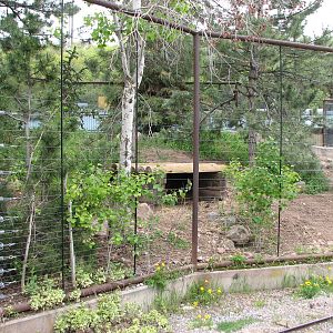 Discoveryland - Woodland Edge