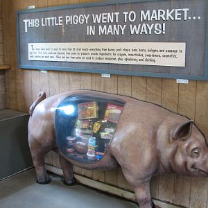 Family Farm - Swine Barn Display