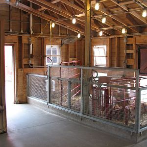 Family Farm - Swine Barn Interior