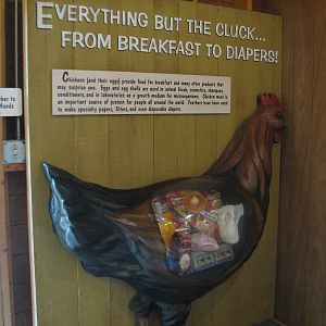 Family Farm - Chicken Barn Display