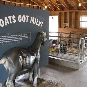 Family Farm - Goat and Sheep Barn Display