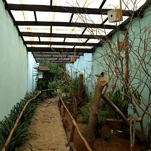 Croc Farm - Walkthrough aviary