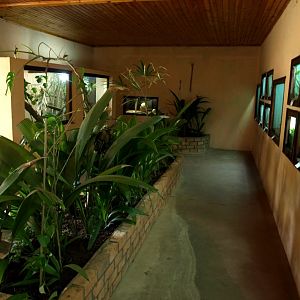 Croc Farm - Vivarium