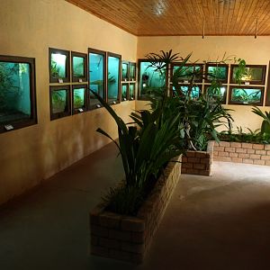 Croc Farm - Vivarium