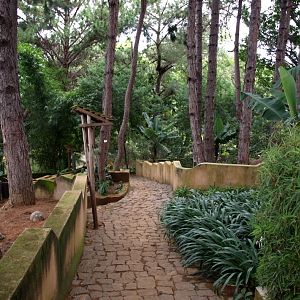 Croc Farm - Landscape