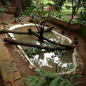 Croc Farm - River turtle exhibit