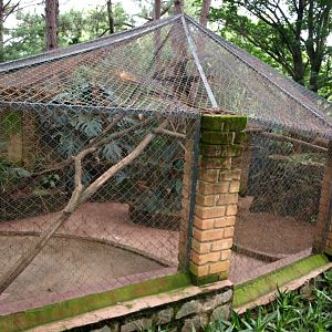 Croc Farm - Fossa exhibit