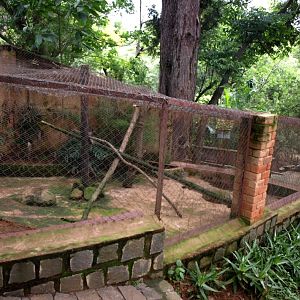 Croc Farm - Fossa exhibit