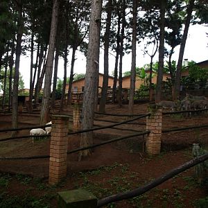 Croc Farm - Petting Zoo