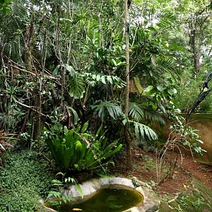 Croc Farm - Chameleon exhibit