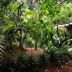 Croc Farm - Snake exhibit