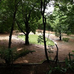 Croc Farm - Crocodile enclosure